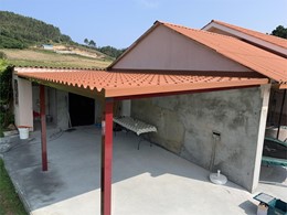 IMG_6491